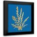Wild Apple Portfolio 12x14 Black Modern Framed Museum Art Print Titled - Pacific Sea Mosses III Blue