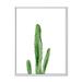 Designart Green Cactus South Western Plant Tropical Framed Canvas Wall Art Print