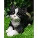 Lifelike Tuxedo Black And White Feline Kitten Cat Sitting On Its Belly Figurine