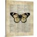 Great BIG Canvas | Circle Art Group Premium Thick-Wrap Canvas entitled Vintage Dictionary Art: Butterfly I