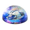 Carolina Panthers Team Pride Dome Paper Weight