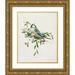 Swatland Sally 15x18 Gold Ornate Wood Framed with Double Matting Museum Art Print Titled - Spring Song Blue Bird I