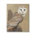 Stupell Industries Barn Owl Bird Perched Gazing Wildlife Animal Painting Painting Gallery Wrapped Canvas Print Wall Art Design by Jacob Green