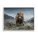 Stupell Industries Roaring Brown Grizzly Bear Rocky Mountain Top View Graphic Art Gray Framed Art Print Wall Art Design by Kelley Parker