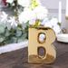 Efavormart 6 Shiny Gold Plated Ceramic Letter B Sculpture Flower Vase Bud Planter Pot Table Centerpiece