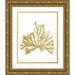 Wild Apple Portfolio 12x14 Gold Ornate Wood Framed with Double Matting Museum Art Print Titled - Pacific Sea Mosses IV Gold