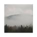 Stupell Industries Misty Mountain Weather Obscured Forest Tree Tops Photograph Gallery Wrapped Canvas Print Wall Art Design by Carol Robinson