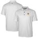 Men's Cutter & Buck Charcoal Baylor Bears Team Logo Big Tall Pike Double Dot Print Stretch Polo