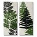 Stupell Industries Bold Layered Fern Leaves Modern Botanical Sprigs Graphic Art Gallery Wrapped Canvas Print Wall Art Set of 2 Design by Kim Allen