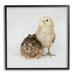 Stupell Industries Baby Animals Chick Bunny Duo Portrait Photography Photograph Black Framed Art Print Wall Art Design by Tania Soderman