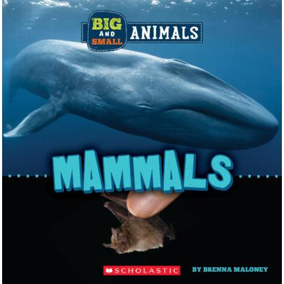 Big and Small: Mammals (paperback) - by Brenna Maloney