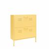 The Novogratz Cache 2 Door Metal Locker Shoe Storage Cabinet