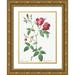Redoute Pierre Joseph 18x24 Gold Ornate Wood Framed with Double Matting Museum Art Print Titled - Velvet China Rose Rosa indica
