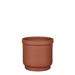 Joss & Main Privet Terracotta Pot Planter Clay & Terracotta | 6 H x 7 W x 7 D in | Wayfair 85E79DF7D5424C6EB63D1FA6068A5019