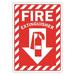 LYLE LCU1-0071-ED_7x10 Fire Extinguisher Sign, 10 in Height, 7 in Width,