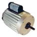 DAYTON A750-8VE Agricultural Fan Motor, Split-Phase, 1 HP, 115/208-230V AC, 825