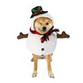 BT Bear Christmas Small Dog Snowman Outfit Dog Christmas Snowman Costum Funny Cosplay Dress Up Snowman Hat for Cats Puppy Small Medium Dogs XS