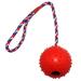 Rubber Ball Chew Toy with Tug Rope - Small