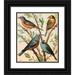 W. A . Blakston 15x17 Black Ornate Wood Framed Double Matted Museum Art Print Titled - Nonpareil Finch Pekin Nightingale Common Blue Bird Indigo Bird (1878)