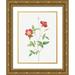 Redoute Pierre Joseph 19x24 Gold Ornate Wood Framed with Double Matting Museum Art Print Titled - Rose Indica Stelligera Bengal Star Rosa indica stelligera