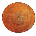 Yoga Kids Mat Grain Room Living Carpet Floor Play Home Rug Wood Area Round Home Decor Large Fuzzy Rug Large Rug for Bedroom Large Rug Christmas Throws for Couch Preppy Blanket for Bed 4x8 Carpet Small