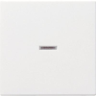 Abdeckung Kontrollschalter System 55, Standard 55, E2, Event, Event Klar, Event Opak, Esprit, - Gira Image