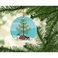 The Holiday Aisle® Ragdoll #1 Cat Merry Christmas Ornament Ceramic/Porcelain in Blue/Brown/Green | 2.8 H x 2.8 W x 0.15 D in | Wayfair