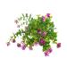 Green Potted Fence Flower Eucalyptuss Flower Arrangement Artificial Baby Breath Flowers Wedding Decorations for Car Outdoor Artificial Flowers Orchid Artificial Flowers with Pot