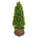 Nearly Natural 41 Eucalyptus Cone Topiary Artificial Tree in Metal Planter (Indoor/Outdoor)