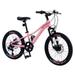 20 Mountain Bike for Teenagers Girls Women ECARPAT 7 Speeds Gear Bicycle with Dual Disc Brakes Adult Bike with Front Suspension Pink