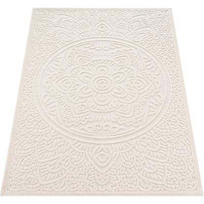 Teppich PACO HOME "Cotton 232", beige (creme), B:120cm H:10mm L:170cm, Polypropylen, Teppiche, Uni Farben, Hoch-Tief Effekt, boho, In- und Outdoor geeignet Image