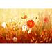 Winston Porter Yellow Red Flower Field - Wrapped Canvas Painting Canvas | 20 H x 30 W x 1.25 D in | Wayfair CDD441E8A12D4AE98CCEE9B406CE69F3