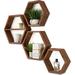 Loon Peak® 6 Piece Hexagon Pine Solid Wood Floating Shelf Wood in Brown/Green | 15 H x 17 W x 4 D in | Wayfair E1377555C5F147199B4AE996ADBA929A