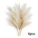 Xmarks 6pcs Dried Pampas Grass - 45cm/18in - Premium Natural Dried Pampas Grass for Home Decor A Great Decorative - Dried Grass for Boho Vase Fillers Or Bouquet Decorations