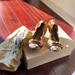 Burberry Shoes | Burberry Flat Women Shoes, Brand New Size 37 | Color: Gold | Size: 7