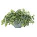 19" Watermelon Peperomia Artificial Plant in Green Vase (Real Touch) - 19