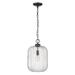 Acclaim Lighting Cabot 10 Inch Mini Pendant - IN10005ORB