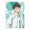 Taicanon Haikyuu Anime Poster 11.6x14.5 Cartoon Character Printed Poster Home Decor Wall Art Poster for Fans Gift