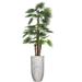 The Twillery Co.® Panama 92" Artificial Bonsai Plant in Planter Plastic | 86 H x 34 W x 34 D in | Wayfair F0396828B3E049A185682AB6E724D4F6