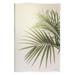 Stupell Industries Minimal Palm Leaves Sunlit Tropical House Plant Photograph Unframed Art Print Wall Art Design by Jennifer Rigsby