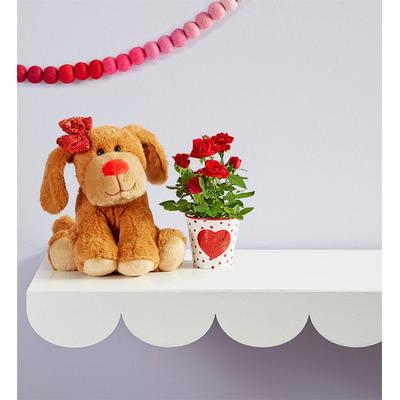 1-800-Flowers Flower Delivery Lovable Pup Rose Pla...