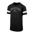 Youth Nike Black Michigan State Spartans Academy Raglan Sleeve Stripe Performance T-Shirt