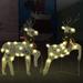 vidaXL Christmas Reindeers Decoration Christmas Lighting Display with LEDs - 40 LEDs