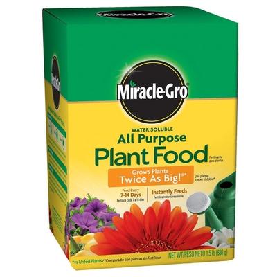 Miracle-Gro 170101 All Purpose Plant Food, 4 lbs