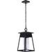 Craftmade Lighting - One Light Outdoor Pendant - Outdoor Wall Lighting - Becca -