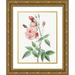 Redoute Pierre Joseph 19x24 Gold Ornate Wood Framed with Double Matting Museum Art Print Titled - Old Blush China Common Rose of India Rosa Indica Vulgaris