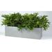 Williston Forge Eldora Composite Planter Box Composite in Orange | 28 H x 72 W x 24 D in | Wayfair FDC040BF683F45D7AFDD8FA009632BE5