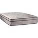 Queen 13" Innerspring Mattress - Alwyn Home Guillermina Plush | 80 H x 60 W 13 D in Wayfair CEE0F18F330C4A61989753C6110ABC29