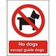 Seco Schild mit Aufschrift "No Dogs Except Guide Dogs", halbstarrer Kunststoff, 300 x 400 mm, 1 mm