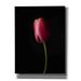 Latitude Run® Perfect Curve by Leah McLean - Wrapped Canvas Photograph Canvas in Black/Pink | 16 H x 12 W x 0.75 D in | Wayfair